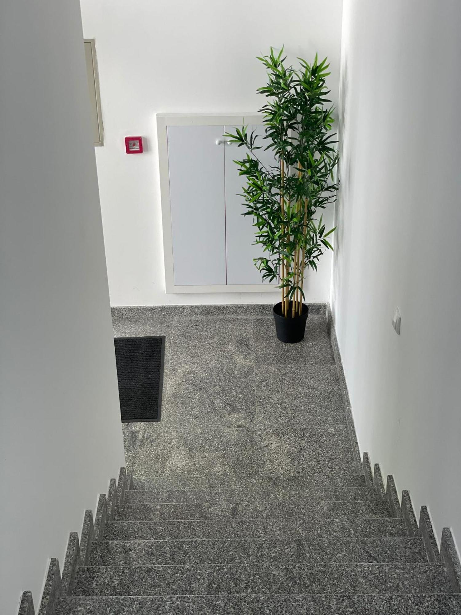 Morpheus Apartmani Sremska Mitrovica Zewnętrze zdjęcie